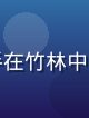 国产动作武侠经典封面，武林高手在竹林中对决，动作流畅飘逸充满武侠气息