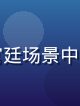 国产古装历史剧合集封面，宏大宫廷场景中身着华服的主角，史诗级画面质感